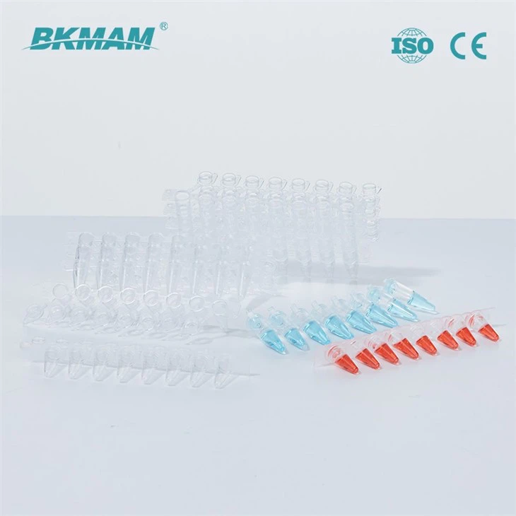 real time pcr strips
